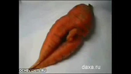 Шеги от природата!