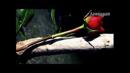 Right Here Waiting For You - Richard Marx (превод)