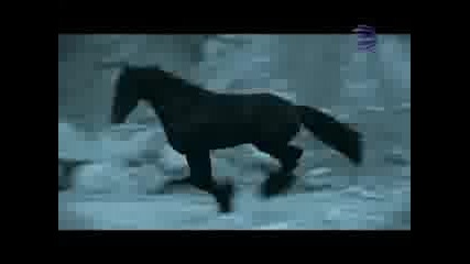 Emilia - Ti si lud
