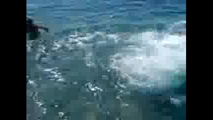 BOMBA