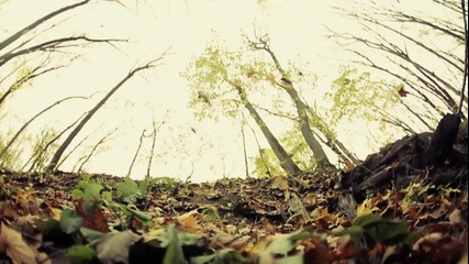 Downhill Mtb +dubstep