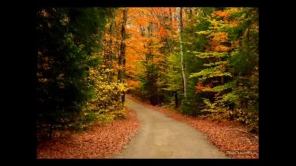 Richard Clayderman - Love Story