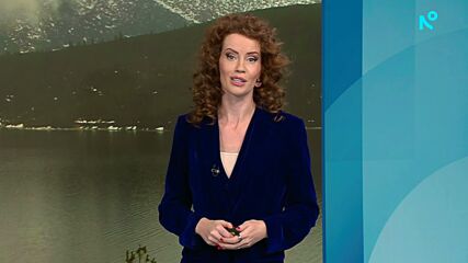 Прогноза за времето | Обедна емисия | 14 окт. 2026