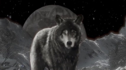 Sonata Arctica - Kingdom For A Heart (official Track)
