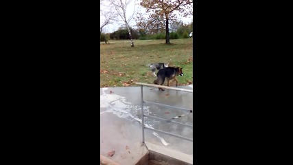 Макс на 5 месеца!(2)