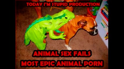 смешно- животински секс (fail) 100% смях