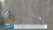 Тази седмица в "Непознатите земи"