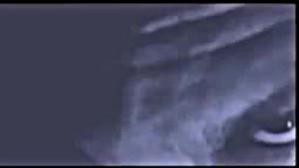 Lesiem Aureus Chapter 2 album