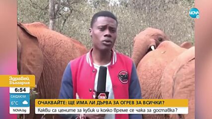 Слонче гъделичка кенийски репортер в ефир