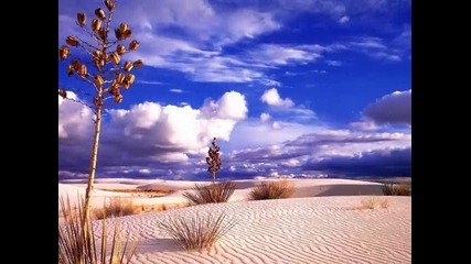 Patricia Barber - A Taste Of Honey! 