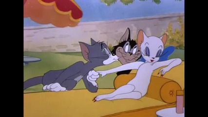 Tom And Jerry - Springtime For Thomas 