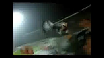 Paok Fans Sing