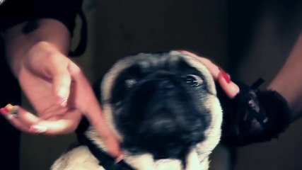 Basilisk feat. Filip Ivanov - Светът пред теб (official Video) 2012