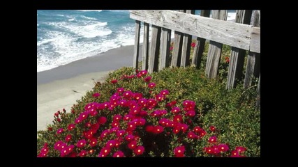 Gates Of Dawn ~ Secret Garden