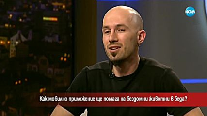 Как мобилно приложение ще помага на бездомни животни в беда?
