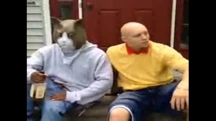 caillou