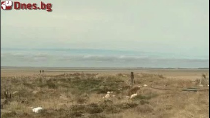 Планетата се затопля. Водата намалява. Какво ли ни очаква