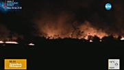 Огнена стихия изпепели десетки декари край Враца