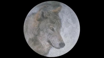 Rainbow - wolf to the moon 