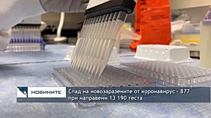 Спад на новозаразените от коронавирус - 877 при направени 13 190 теста