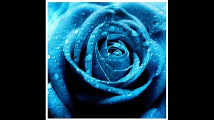 Andrea Schroeder - Paint It Blue