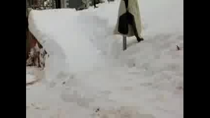 Eastern Boarder Team Movie Teaser