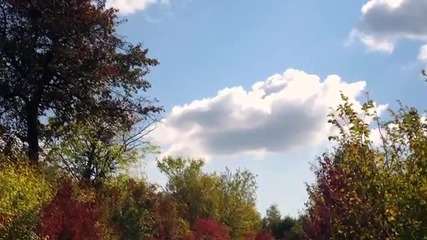 Eсенни пейзажи