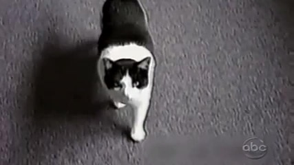 Смешни и Забавни