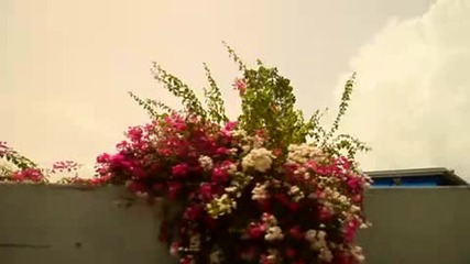 Brick & Lace - Love Is Wicked