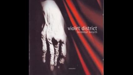 Violet District - Lustreless