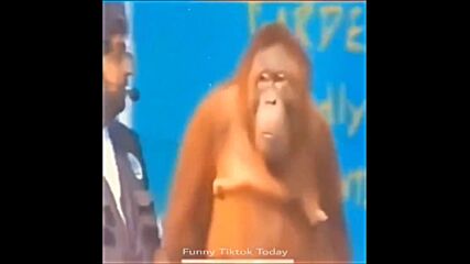 10000000_1060723227672809_501743