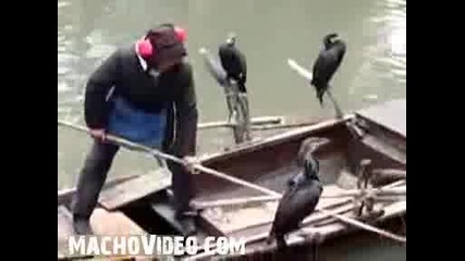 Кризата Удари и Рибарите
