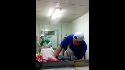 Vid_20160211_142555