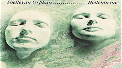 Shelleyan Orphan ☀️ Helleborine 1987