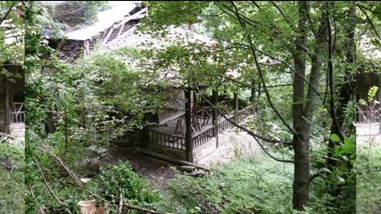 Малка стара църква в гората