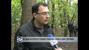 Общинари чистят парковете в София