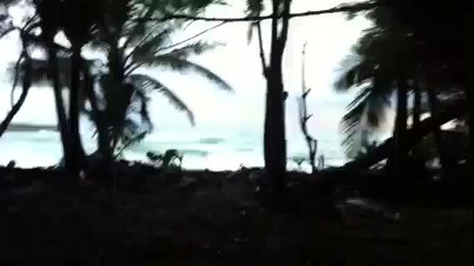 Плажът където е сниман филма Добре Дошли в Джунглата (2013)