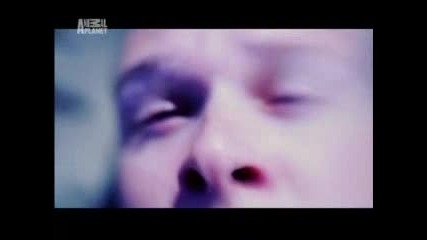 Жив съм