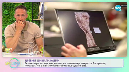Древни цивилизации - Остри обувки, които станаха хит в Средновековието - „На кафе”