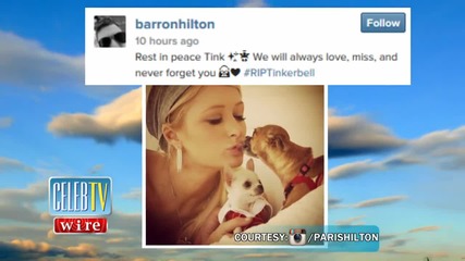 Paris Hilton's Iconic Dog Tinkerbell Passes Away