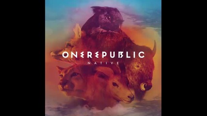 *2013* One Republic - What you wanted