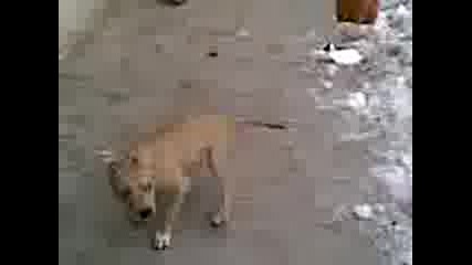 Kresna