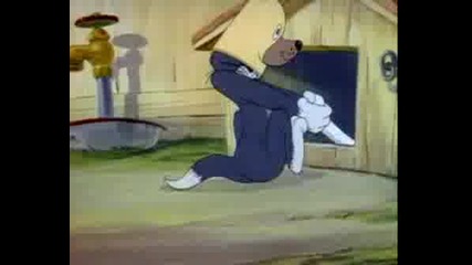 Tom&jerry