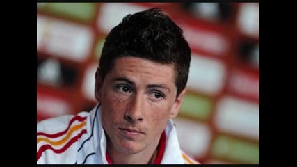 fernando torres World Cup 2010.wmv