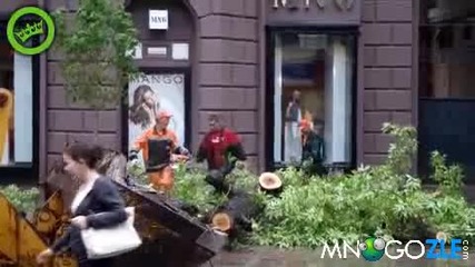 Идиоти на работа