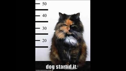 Mwahahahaaa!!!!