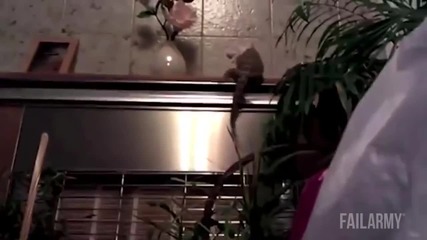 Failarmy-провали с животни