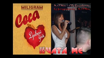 Ceca 2011 - Hvata me