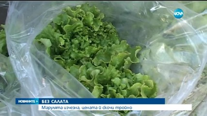 Къде отидоха българските марули?