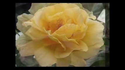 Chris Spheeris And Paul Voudouris - Through the wall